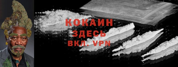 ПСИЛОЦИБИНОВЫЕ ГРИБЫ Балабаново