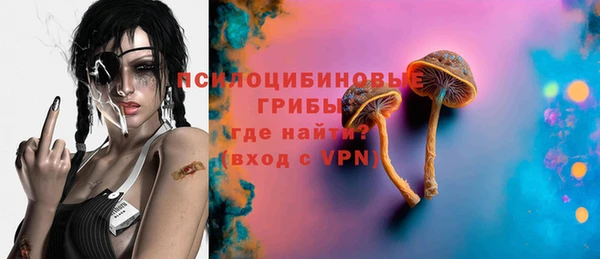 ПСИЛОЦИБИНОВЫЕ ГРИБЫ Балабаново