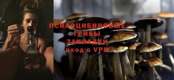 бошки Балахна
