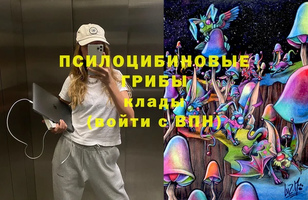 бошки Балахна